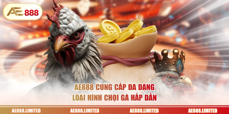 AE888 cung cấp đa dạng loại hình chọi gà hấp dẫn
