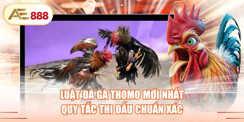 Luật Đá Gà Thomo Mới Nhất - Quy Tắc Thi Đấu Chuẩn Xác